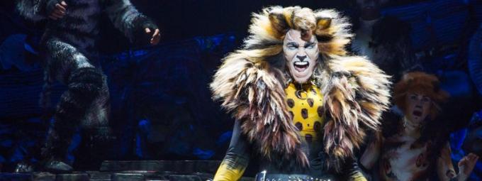 Cats at Benedum Center
